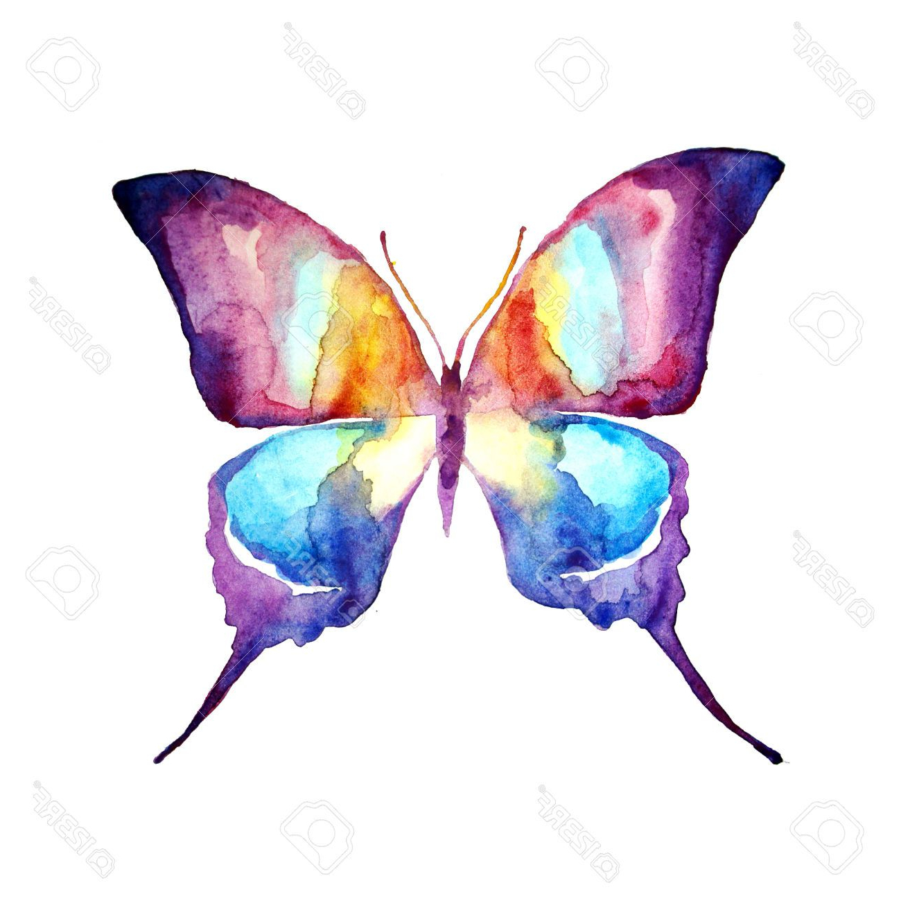 1300x1300 Watercolor Paintings Of Butterflies Butterfly,watercolor Design