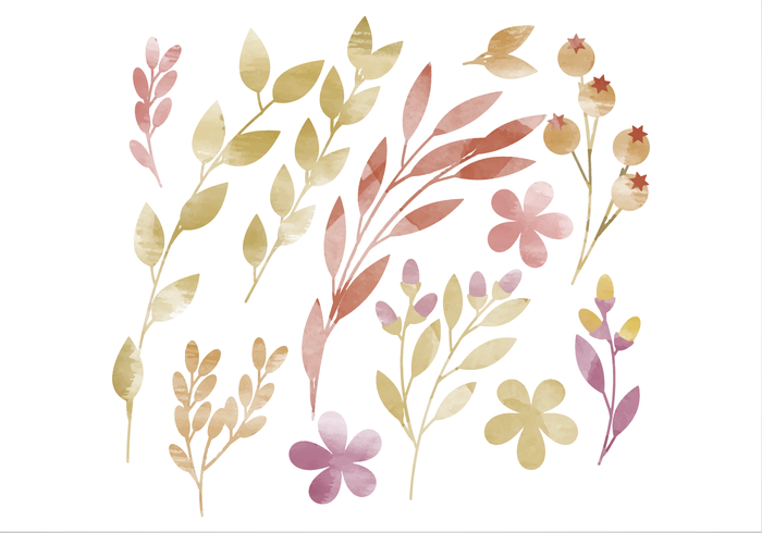 700x490 Vector Watercolor Floral Elements