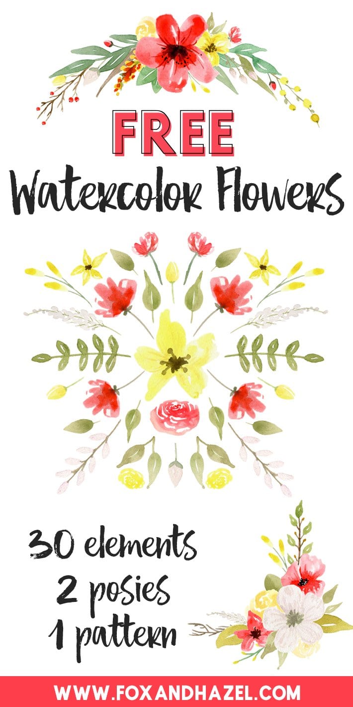 710x1420 Red Amp Yellow Free Watercolor Flowers Clipart