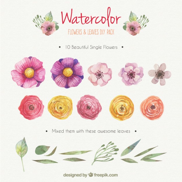 626x625 Watercolor Flowers And Leaves Diy Pack Vector Free Download