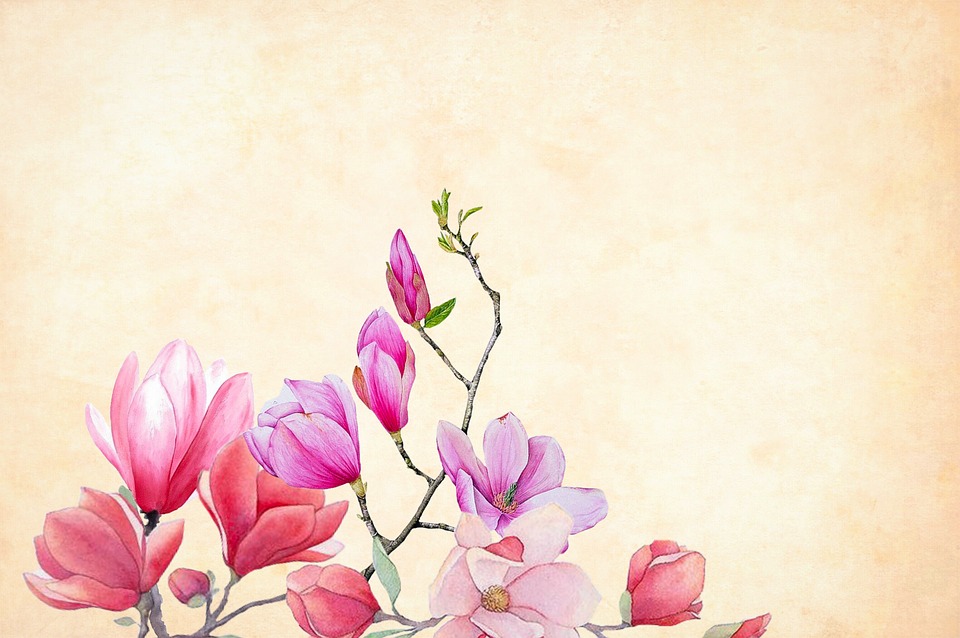 960x638 Free Photo Border Floral Background Watercolor Flower