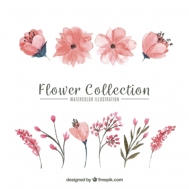626x626 Watercolor Flowers Vectors, Photos And Psd Files Free Download