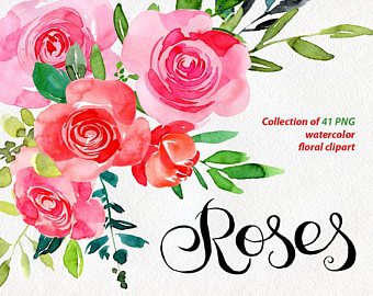 340x270 Watercolor Flower Clipart 25 Romantic Flowers Aquarelle Etsy