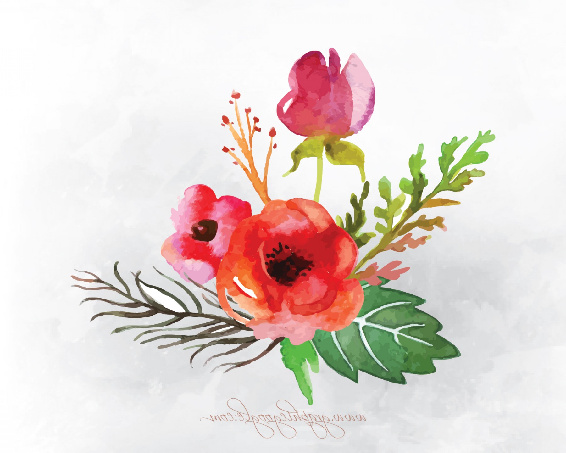 1800x1440 Free Watercolor Flower Vectors For Designers Arenawp