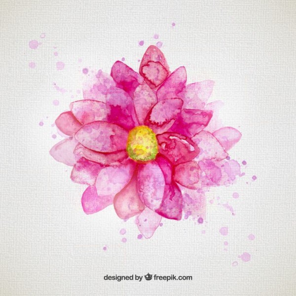 600x600 Watercolor Flower In Pink Tone Free Vector 123freevectors