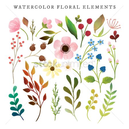 450x450 Free Watercolor Flowers Stock Vectors Stockunlimited