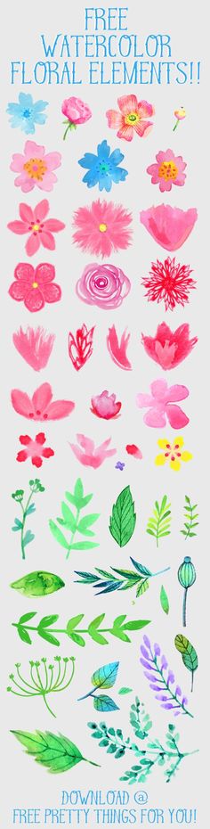 236x930 212 Best Graphic Freebies Images Free Watercolor
