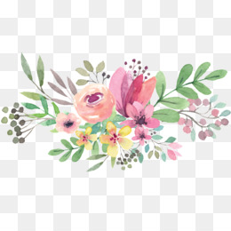 260x260 Watercolor Flower Png Amp Watercolor Flower Transparent Clipart Free