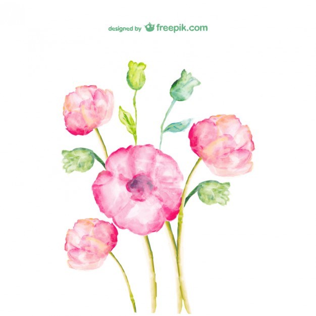 626x626 Watercolor Flowers Free Design Free Vector 123freevectors