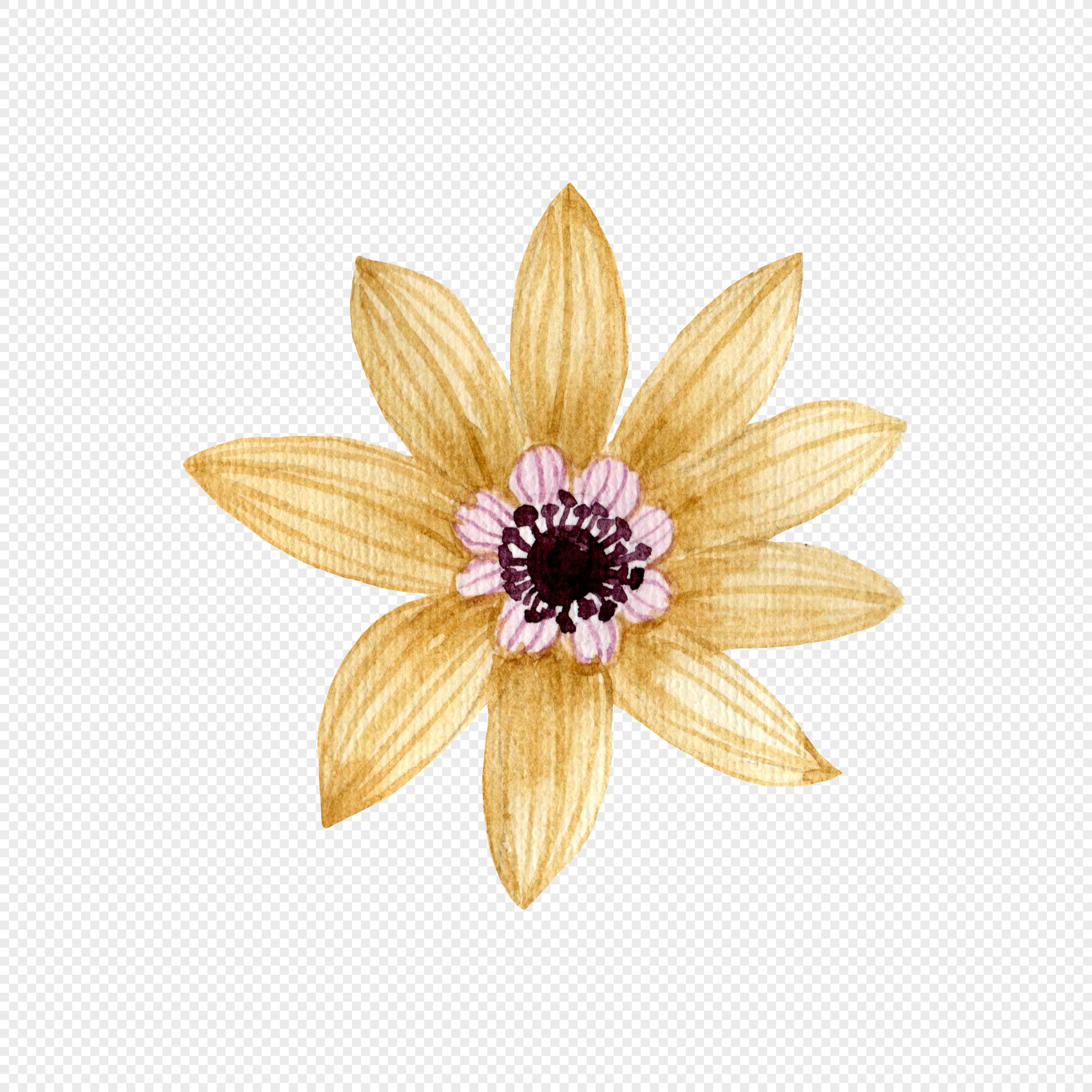 2420x2420 Watercolor Flowers Png Image Picture Free Download