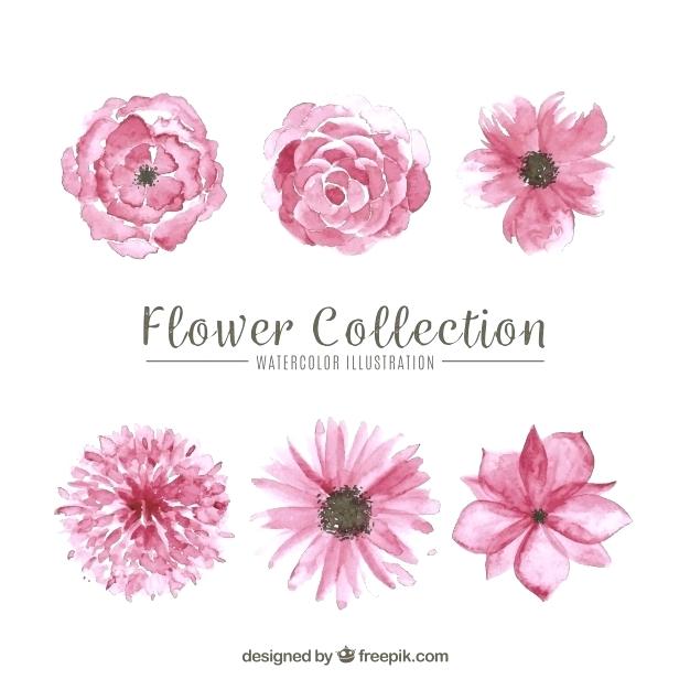 626x626 Pink Flowers Set Of Pink Flowers Free Vector Pink Watercolor