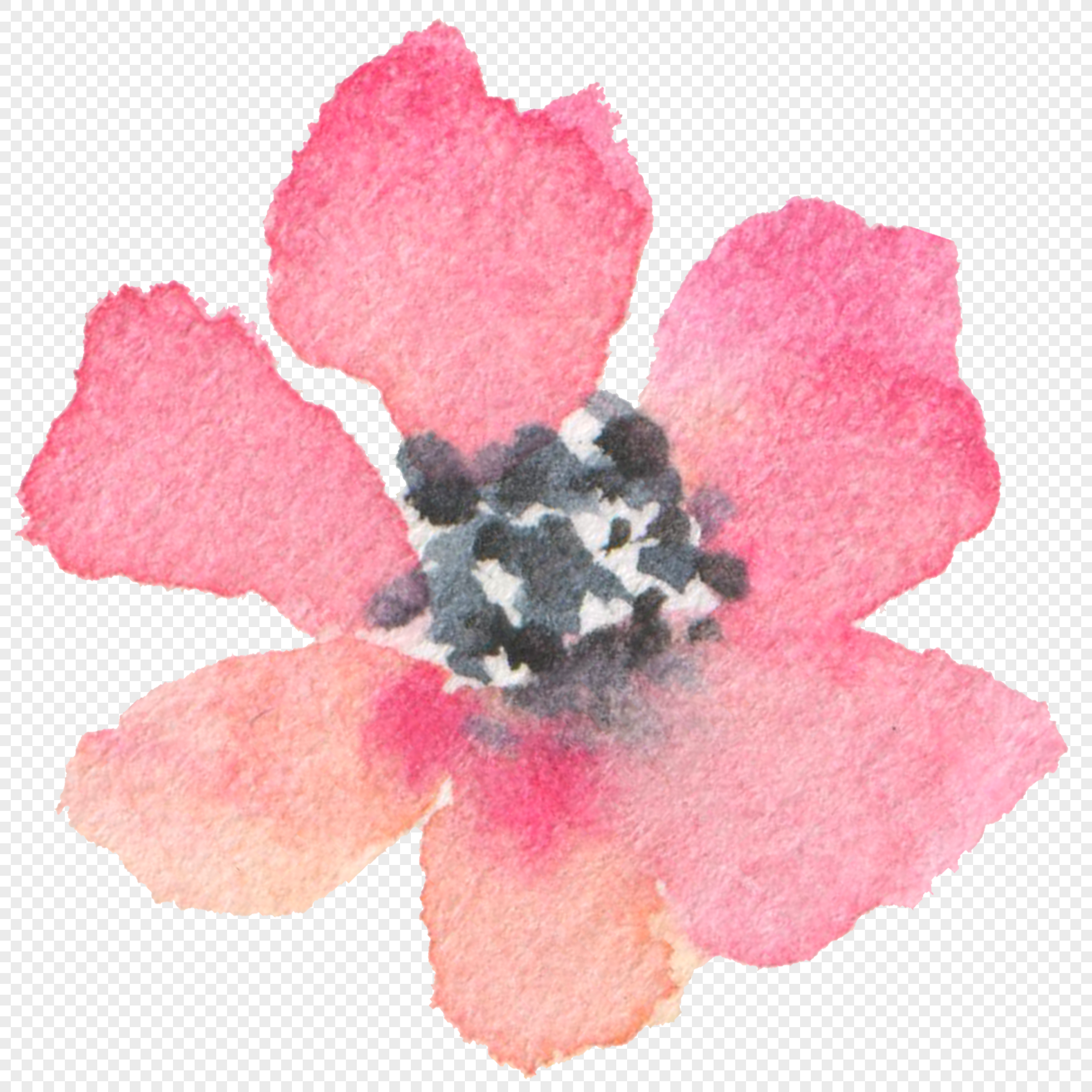 2020x2020 Watercolor Flower Png Image Picture Free Download