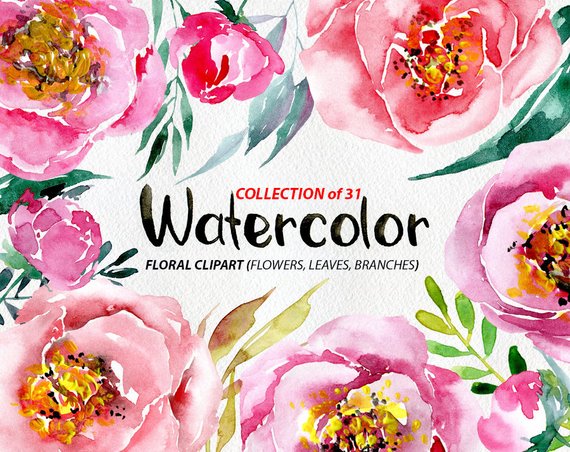 570x452 Watercolor Flowers Clipart Leaves Branches Twigs Digital Etsy