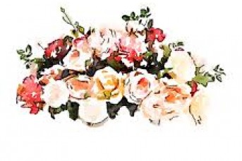 343x228 White Watercolor Flowers Png