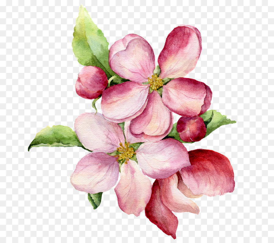 900x800 Watercolor Painting Illustration Vector Graphics Royalty Free