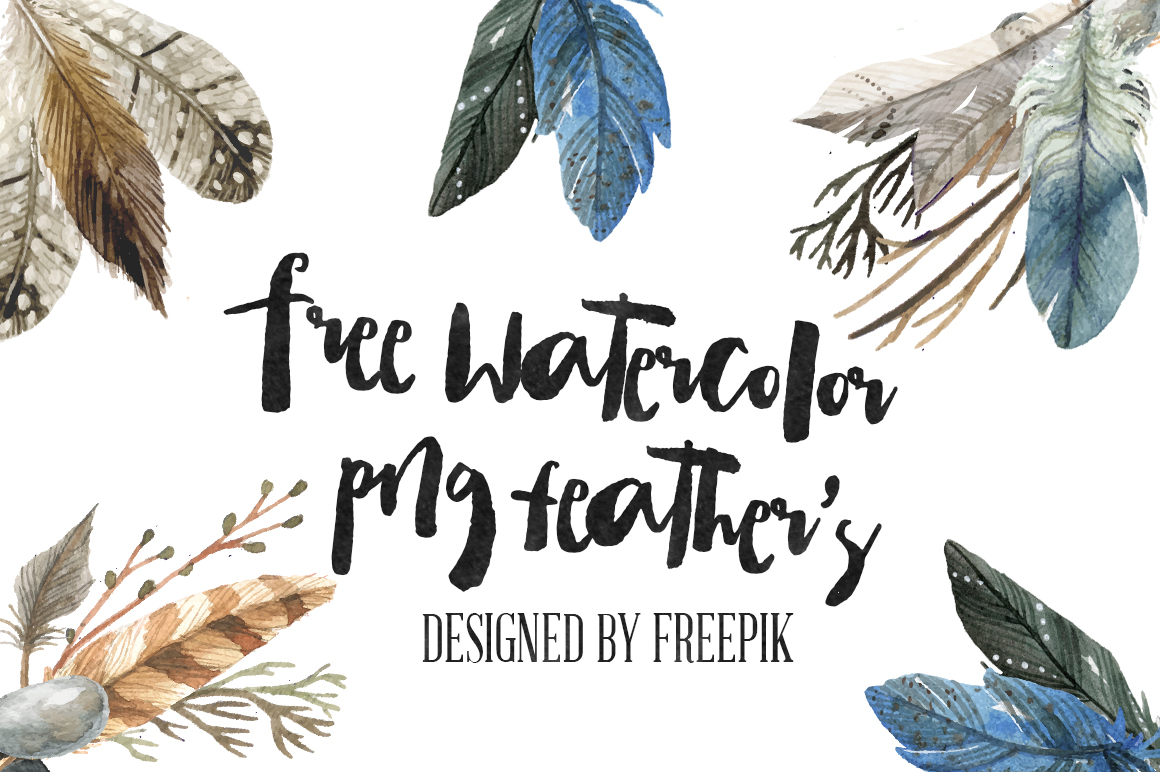 1160x772 Dlolleys Help Free Watercolor Png Feathers