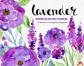 340x270 Watercolor Floral Clipart Purple Red Pink Flowers Aquarelle Etsy