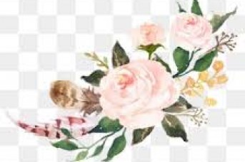 343x228 Watercolor Flower Png Free