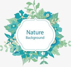 236x221 259 Best Free Watercolor Flower Png Images Images