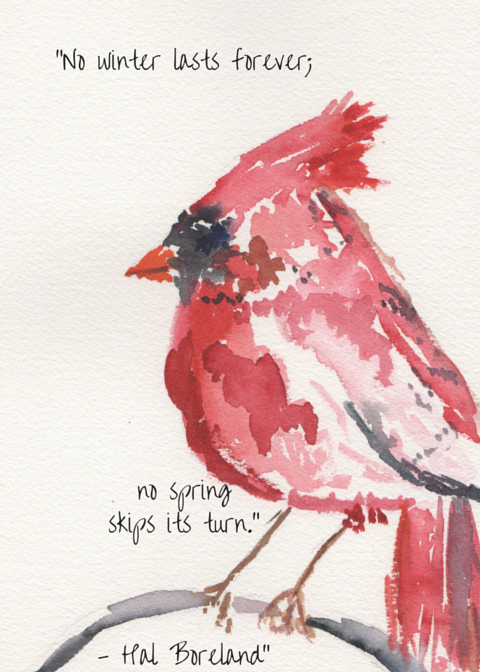 480x672 A Cardinal Watercolor Free Printable