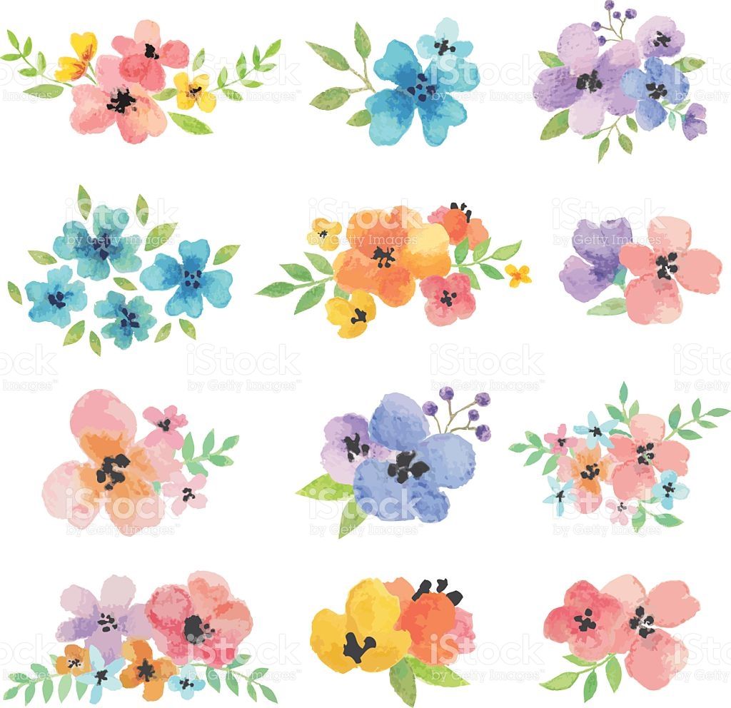 1024x992 Vector Illustration Of Watercolor Flowers. Spring Packaging