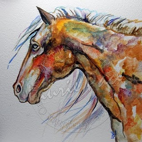 600x600 Appaloosa Horse Painting, Watercolor By Texas Artist Laurie Pace