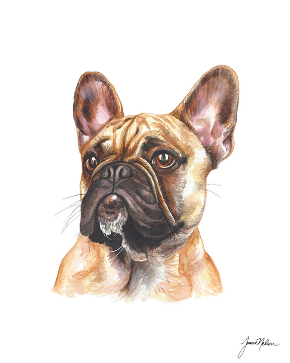 576x720 Janice Nelson Designs French Bulldog Print