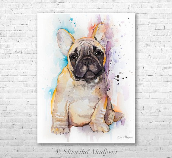 570x524 Fawn French Bulldog Watercolor Painting Print By Slaveika Etsy