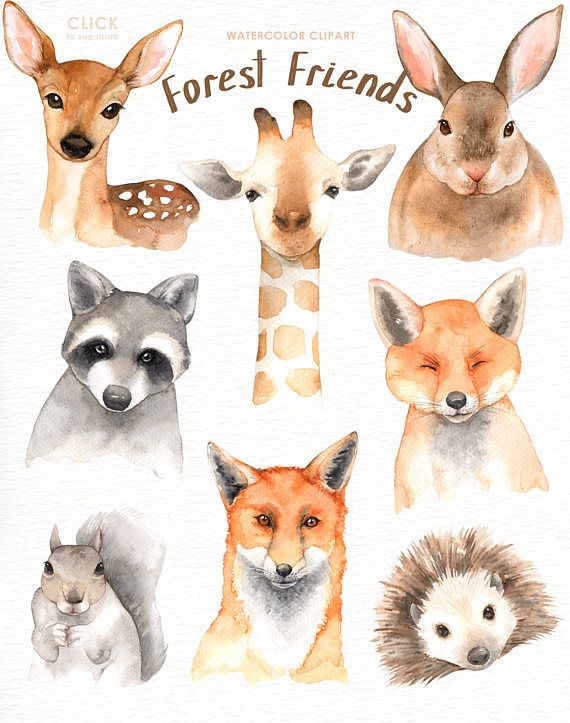 570x723 Forest Friends Watercolor Clip Art,woodland Animals, Kids Clipart
