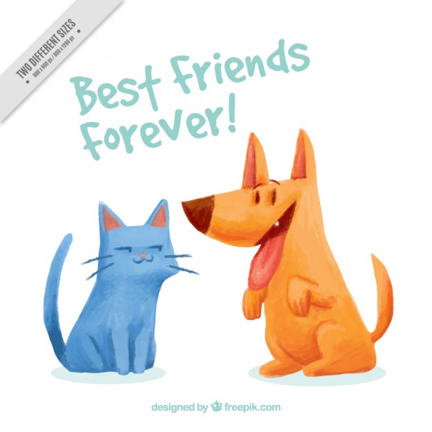 626x626 Watercolor Pets Friendship Background Vector Free Download