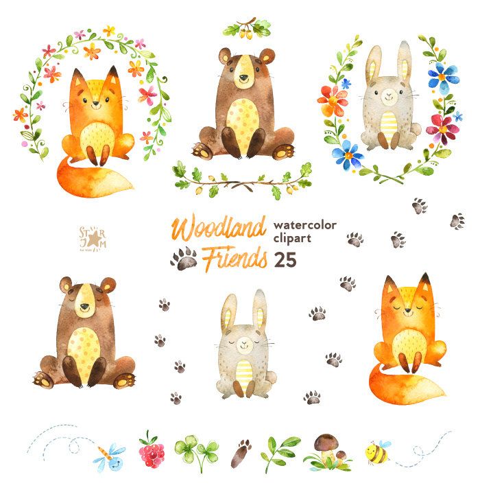 700x717 Woodland Friends. Watercolor Animals Clipart, Forest, Bear, Fox