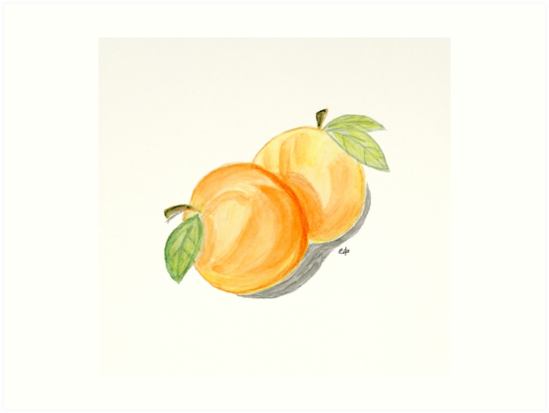 549x413 Orange Apricots. Painting Art Print Flower Art Print From