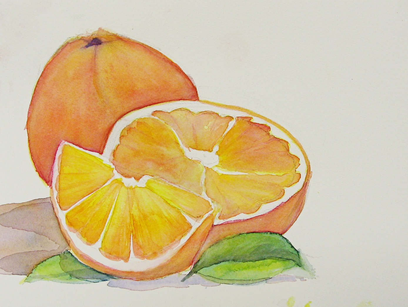 1388x1044 Painting Fruit In Watercolor Orange Sweetbriar Sisters