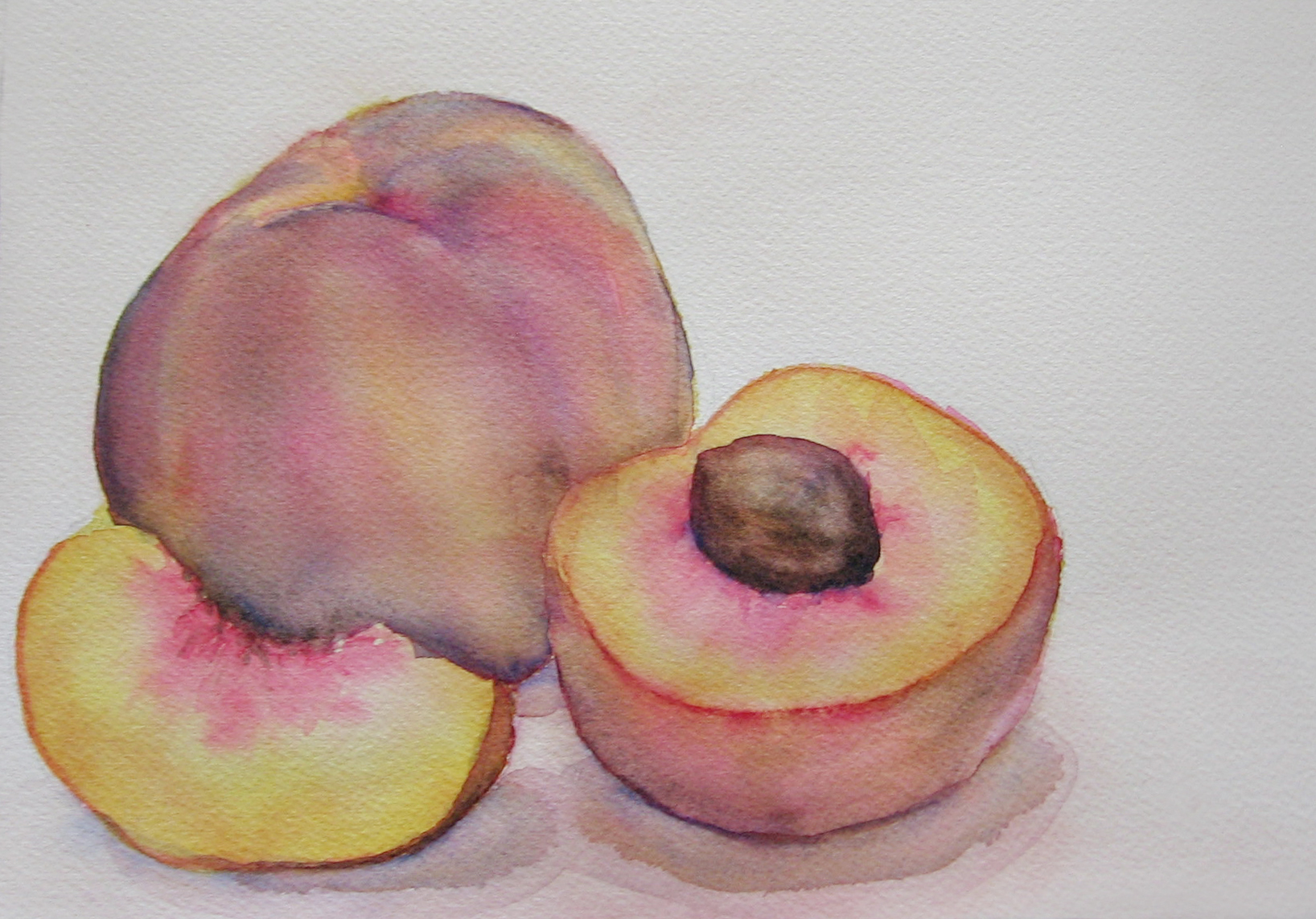 1636x1143 Painting Fruit In Watercolor Step By Step Peach Sweetbriar Sisters