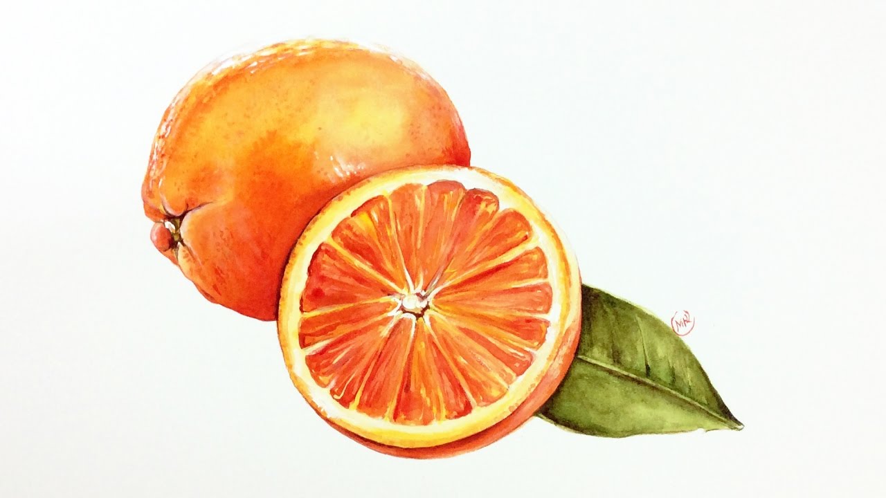 1280x720 Watercolor Oranges Painting Demonstration