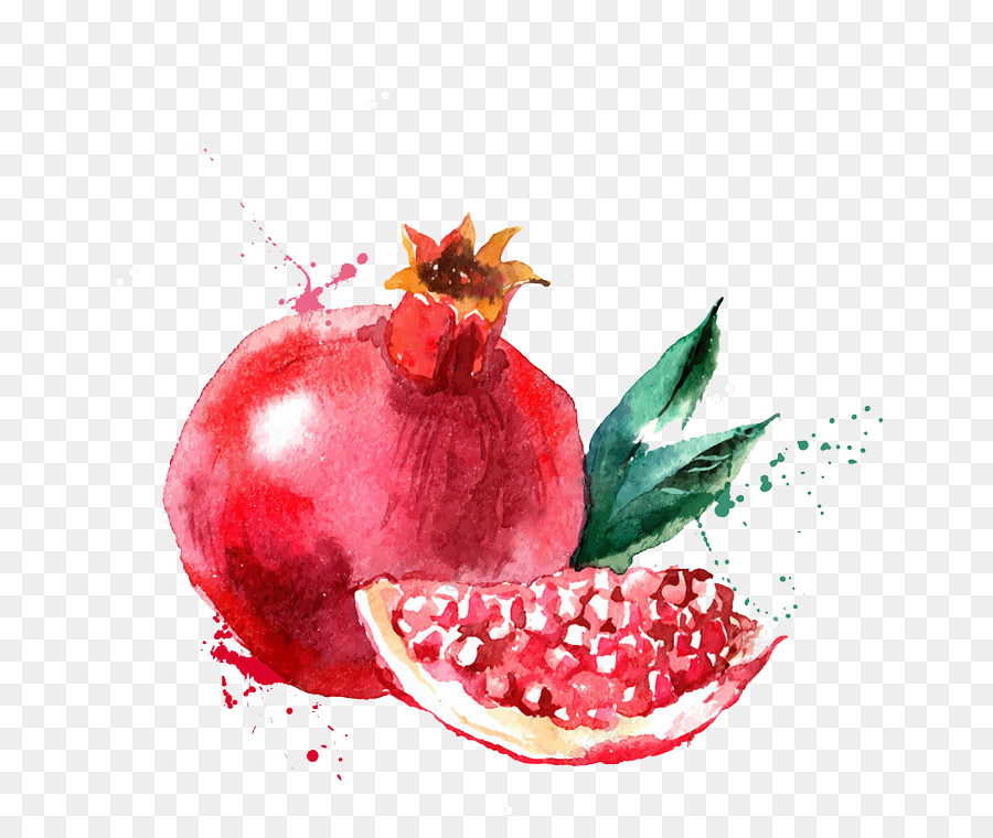 900x760 Watercolor Painting Fruit Drawing Illustration