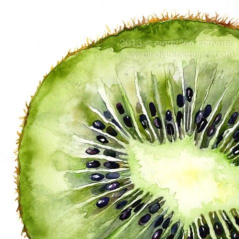 480x480 Fruit Watercolor