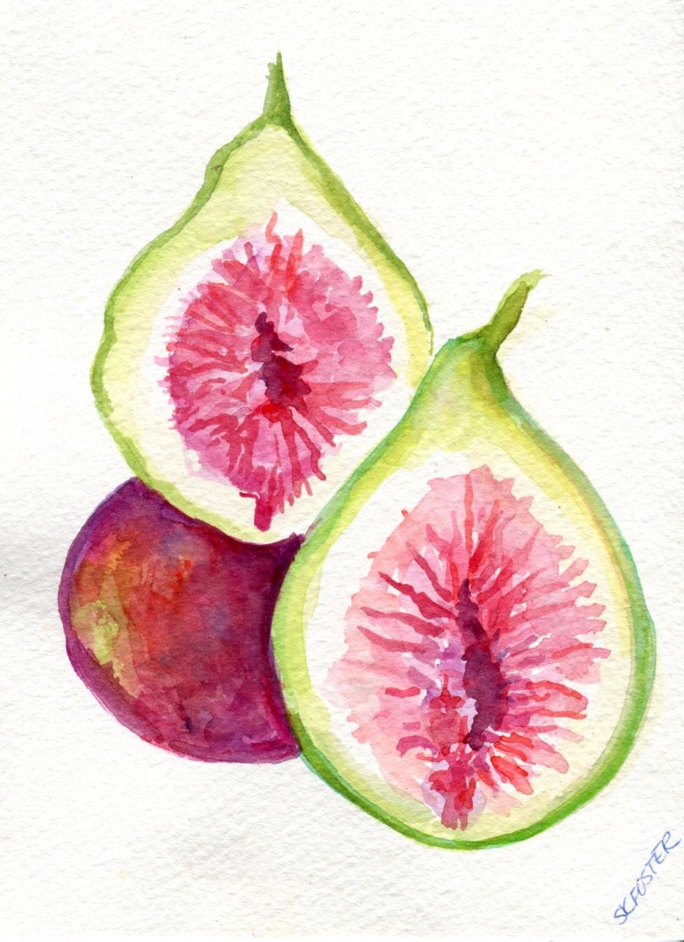 986x1359 Fig Painting, Original Watercolor Painting, Food Art, Small Fruit