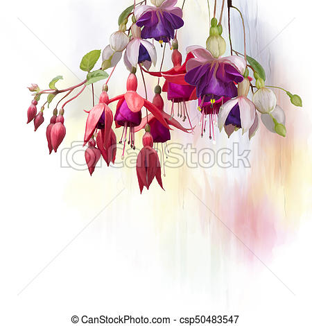 450x470 Fuchsia Flowers Watercolor. Digital Painting Of Purple And Red
