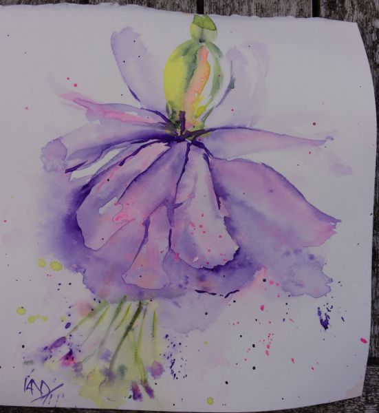 551x600 Fuchsia Watercolour Sketch