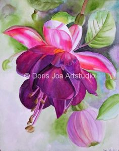 236x298 41 Best Fuchsia Images In 2018 Watercolor Paintings