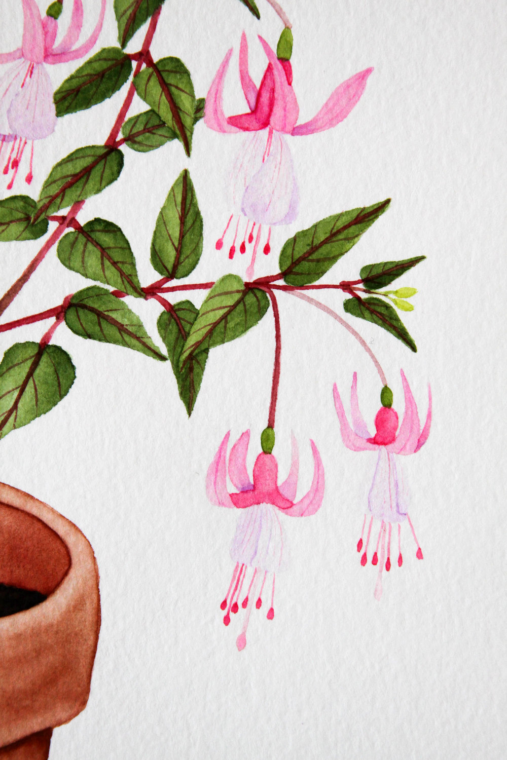 1000x1500 Pink Fuchsia Watercolor Painting My Giant Strawberry