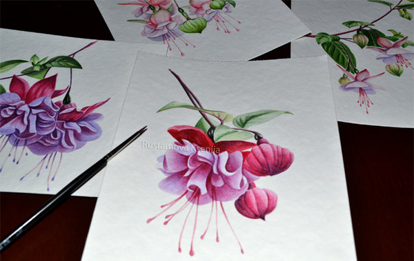 600x379 Watercolor Fuchsia 2 By Rustamova