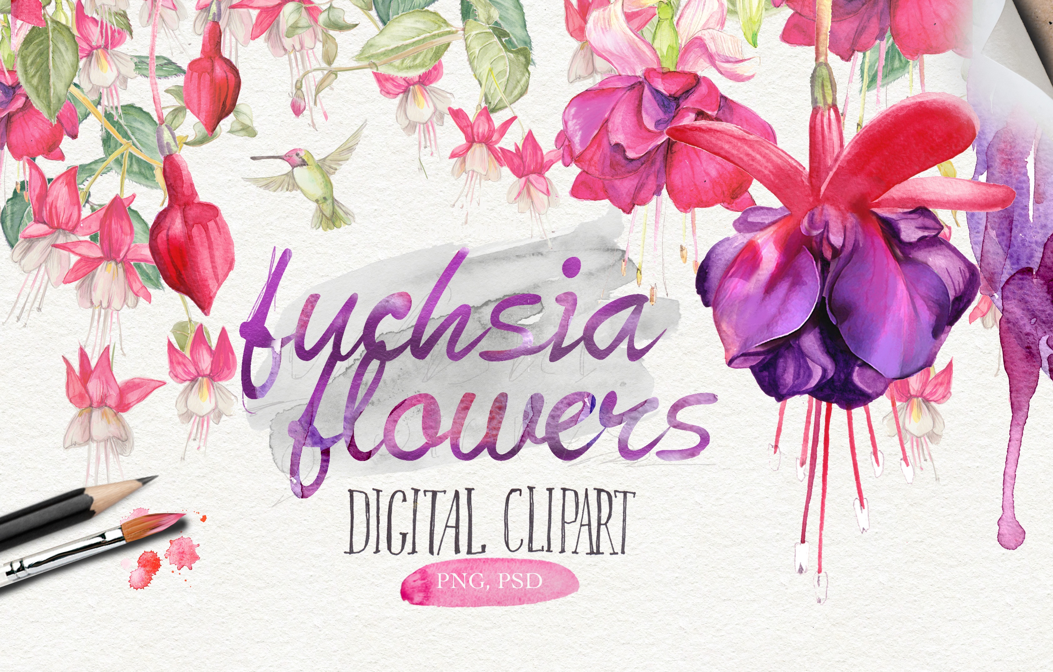 3370x2152 Watercolor Fuchsia Flowers