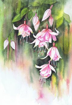 236x341 Watercolour Florals Watercolors Watercolor