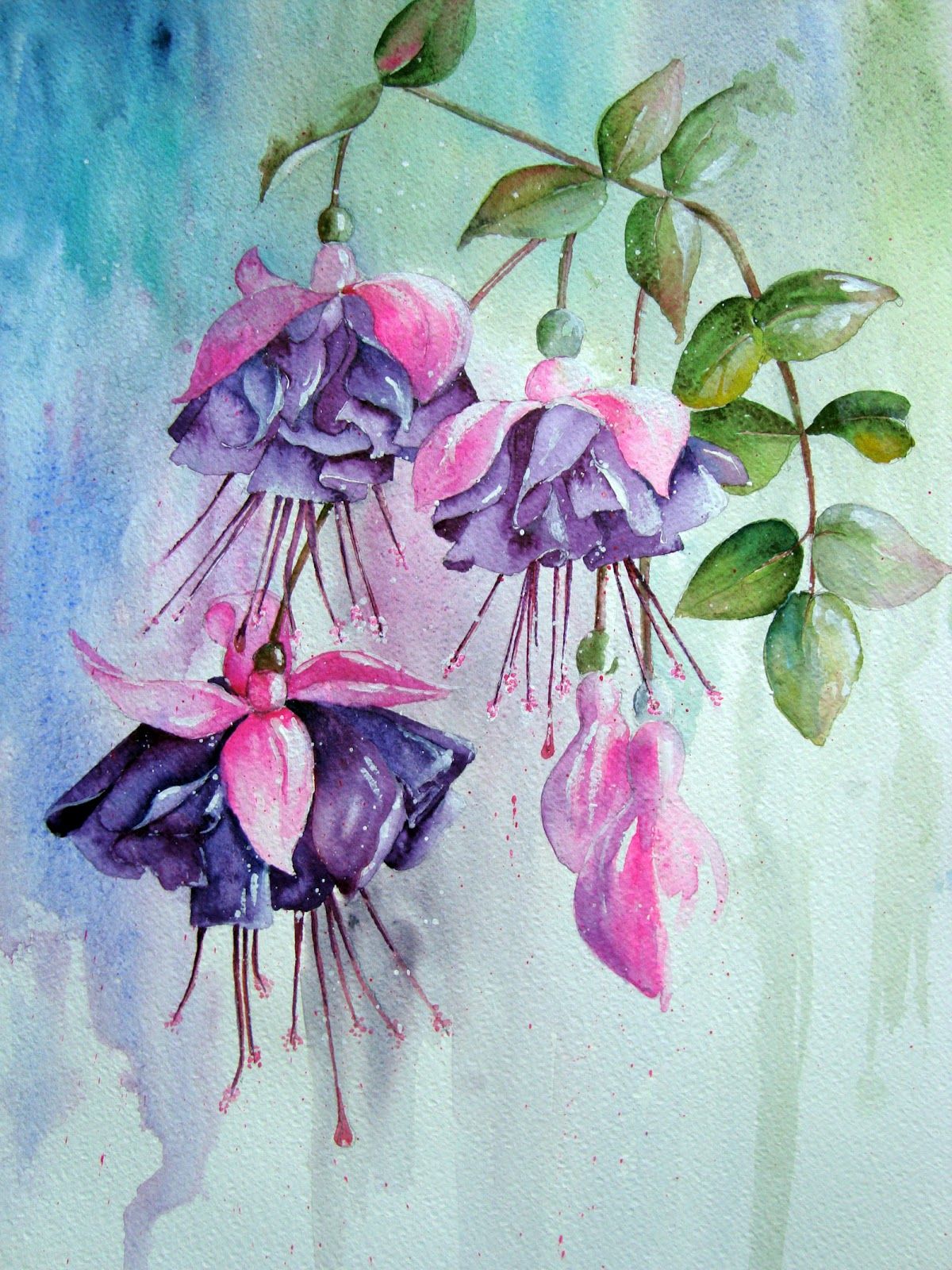 1200x1600 Watercolour Florals Fuchsia Again Khudozhniki
