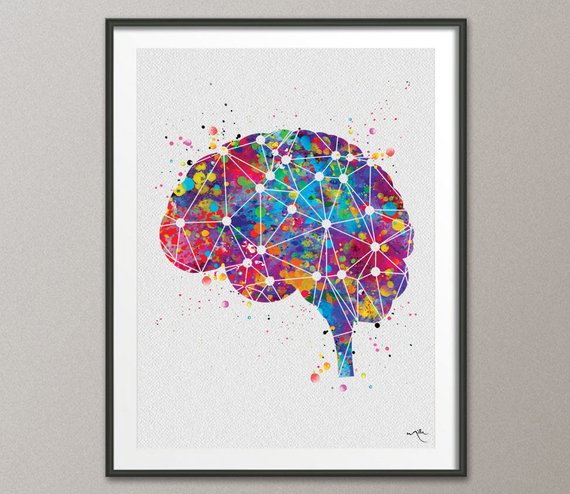 570x494 Brain Anatomy Geometric Watercolor Print Medical Art Science Etsy