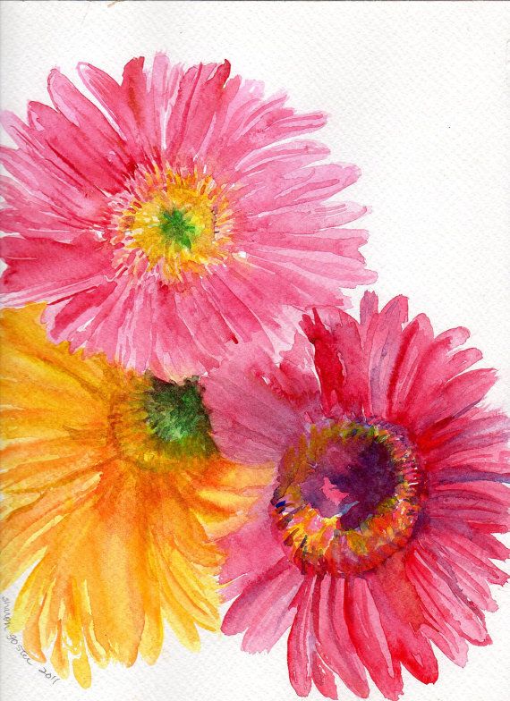 570x784 Gerbera Daisy Watercolor Painting Original, Pink Gerber Daisy