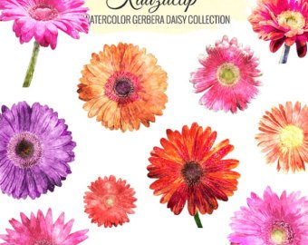 340x270 Gerbera Watercolor Etsy
