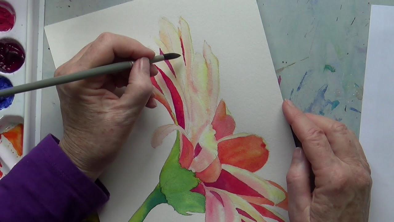 1280x720 Painting A Gerbera Daisy In Watercolor Part 2